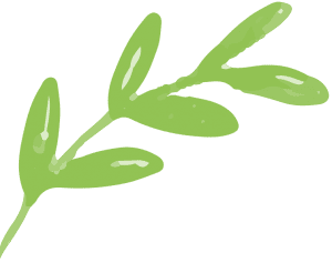 logo-leaf2-free-img