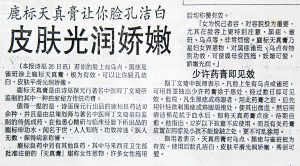 Sibu Newspaper2